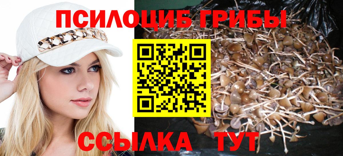 Псилоцибиновые грибы ЛСД  Галлюциногенные грибы Psilocybe  Чита  Вход с VPN 