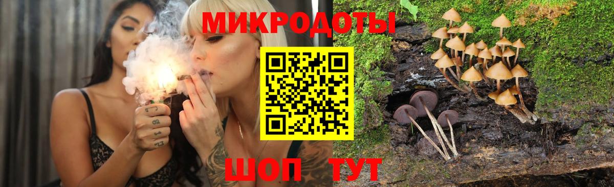 Галлюциногенные грибы прущие грибы Чита